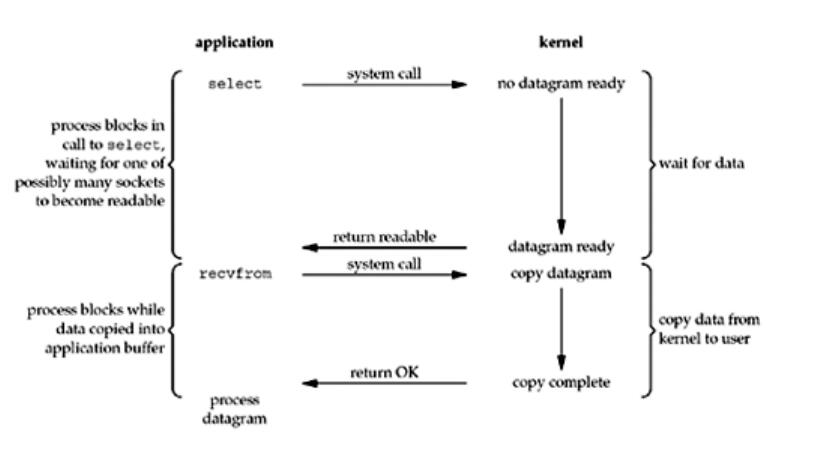 Figure 6.3. I/O multiplexing model.